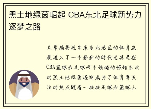 黑土地绿茵崛起 CBA东北足球新势力逐梦之路
